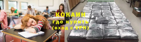 прущие грибы Зеленодольск
