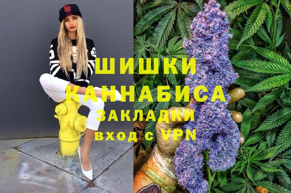 прущие грибы Зеленодольск