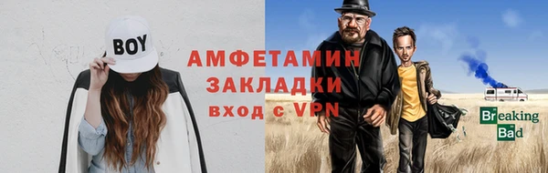 прущие грибы Зеленодольск