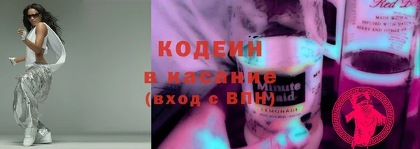 прущие грибы Зеленодольск