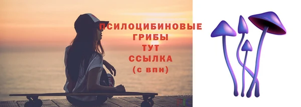 прущие грибы Зеленодольск