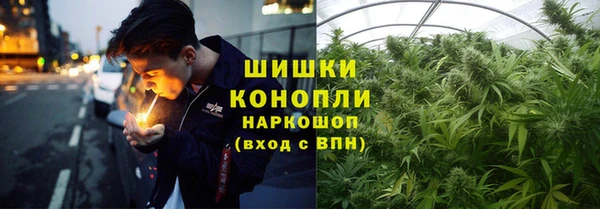 прущие грибы Зеленодольск