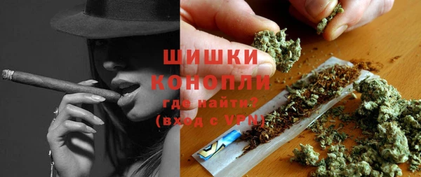 прущие грибы Зеленодольск