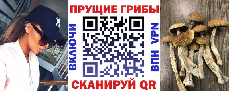 Галлюциногенные грибы ЛСД Карабулак